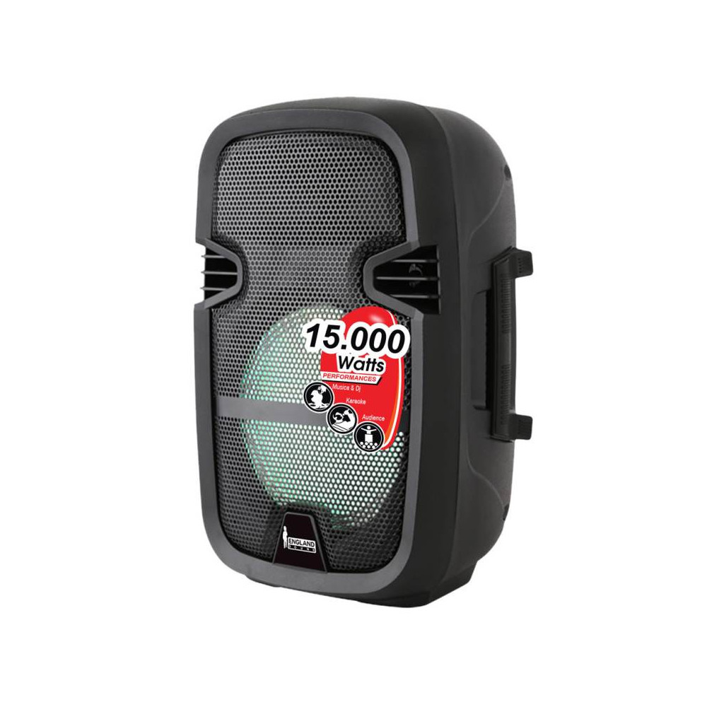 Caja amplificada 15.000w 8"