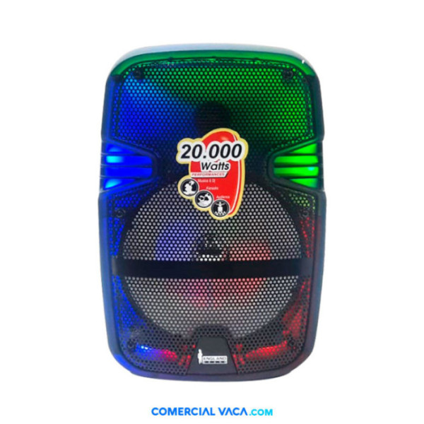 Caja amplificada recargable 20.000w 8"